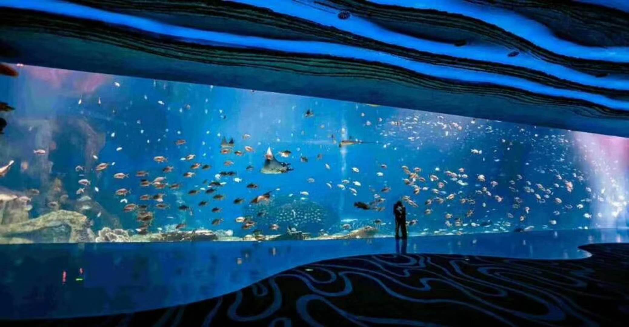 海洋館水族館生物養(yǎng)殖用水臭氧殺菌，滅藻