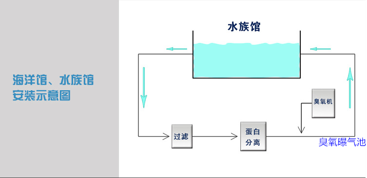 海洋館過(guò)濾，蛋分，臭氧，曝氣池.png