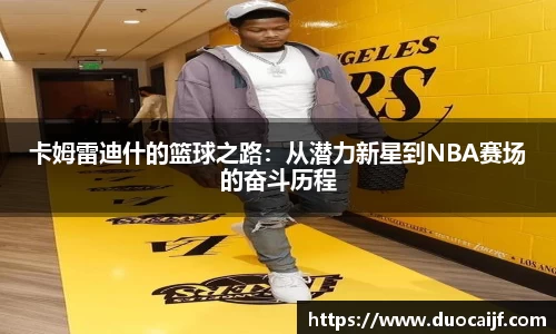 333体育官网